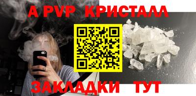 хмурый Кингисепп