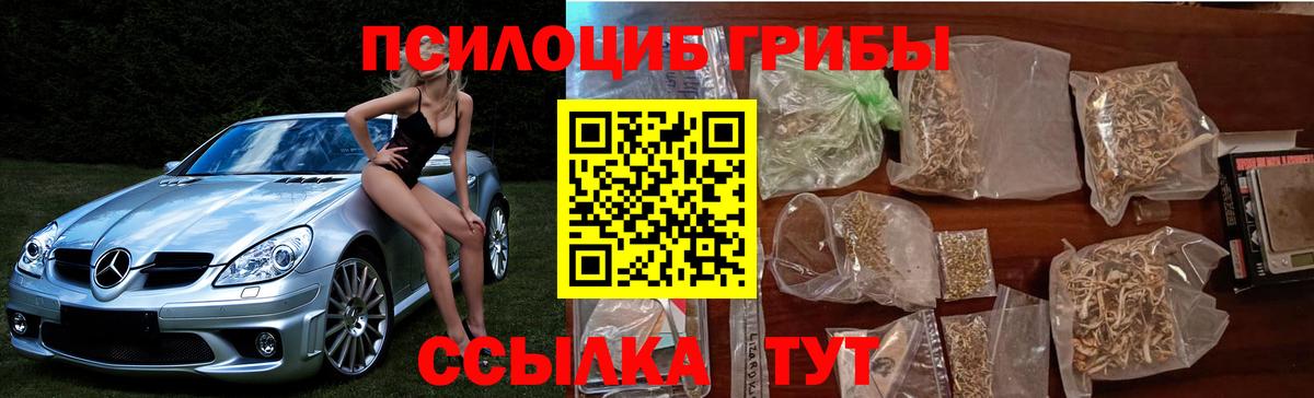 Комсомольск-на-Амуре  Псилоцибиновые грибы MAGIC MUSHROOMS  купить наркоту  Вход с VPN 